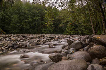 Lynn Canyon Park