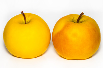 two ripe yellow apple isolated on white background