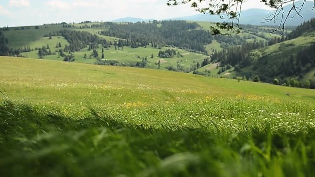 summer mountain landscape