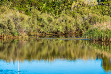 Landscape in Miami Platja, Tarragona, Catalunya, Spain. Close-up.