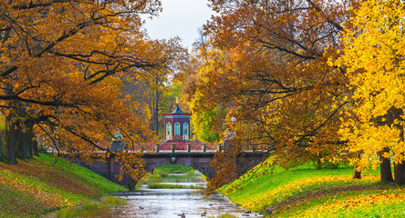 Petersburg. Autumn Park. The city of Pushkin. Tsarskoe Selo. A park.