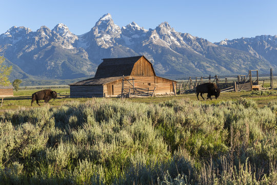John Moulton historic barn, Grand Teton National Park, Wyoming,