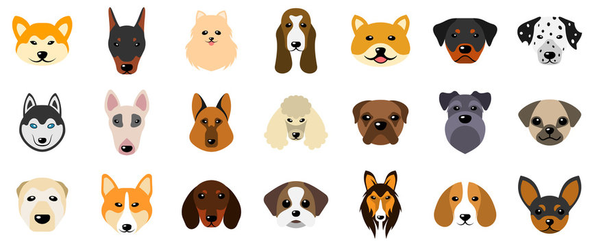 Dog Head Images – Browse 765,550 Stock Photos, Vectors, and Video