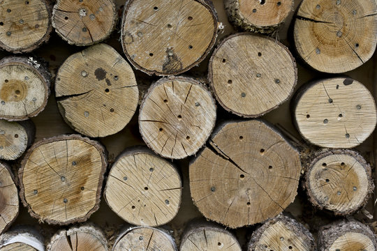 Insect hotel made from tree branches