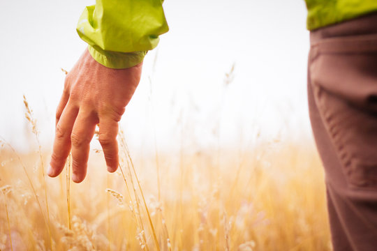 Walking Through Tall Grass