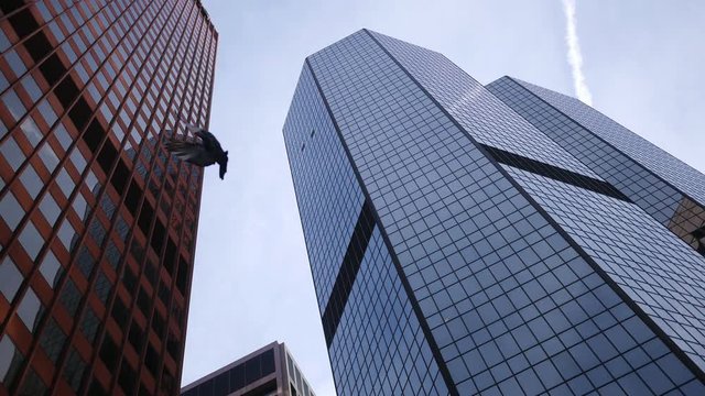 Establishing shot of tall modern skyscrapers in downtown Pittsburgh