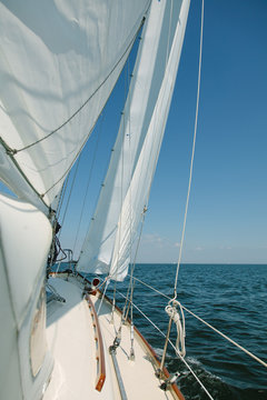 Sailing boat on the water