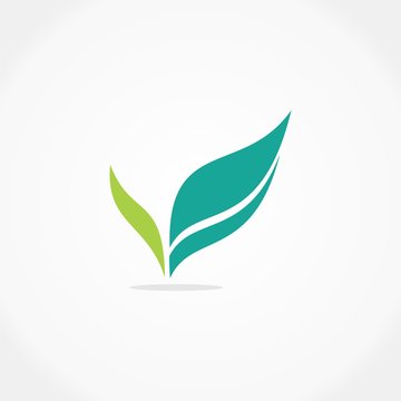 letter v leaf logo business