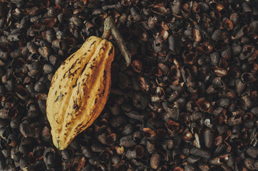 Chocolate making process; cocoa beans on the table