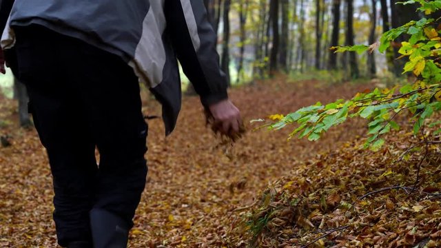 Man walking through forest of full autumn leaves an takes them - (4K)