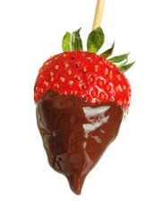 Tasty strawberry dipped in chocolate on white background