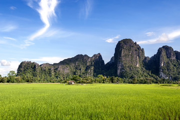 Green rice paddy field and limestone mountains in Vang Vieng, popular tourist resort town in Lao...