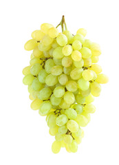 Bunch of grape on white background