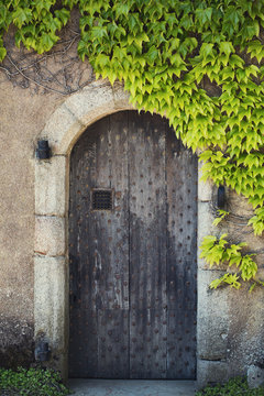 Old doorway with climbing ivy