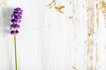 Fotobehang Flower of lavender on wooden background, floral pattern in white shabby chic style © alicja neumiler
