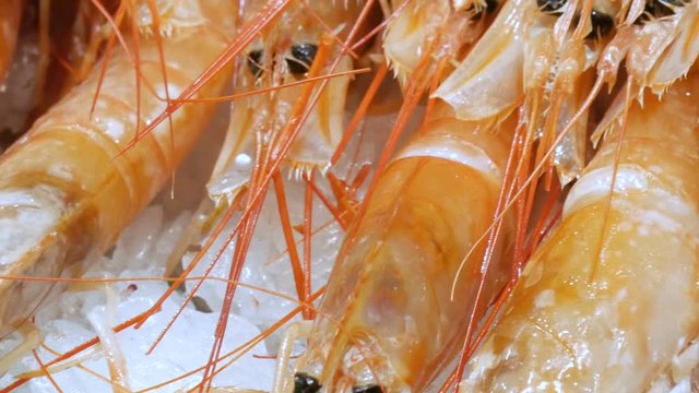 Seafood shrimps crawfish crabs on the counter market,Seafood in the market La Boqueria in Barcelona close up view
