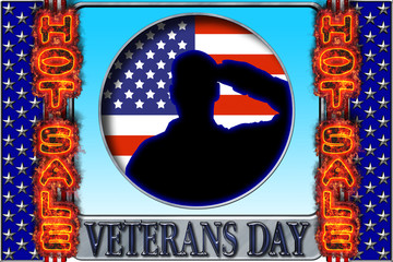 Veterans Day, Hot Sale, 3D Illustration, Honoring all who served, American holiday template.