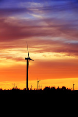 Wind turbines in the evening