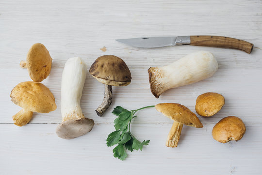 Food: edible wild and cultivated mushrooms on white wooden background, suillus bovinus, leccinum scabrum, Pleurotus eryngii (king oyster)