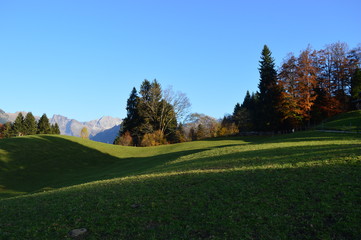 Fototapeta na wymiar Herbst in den Oberstdorfern Bergen