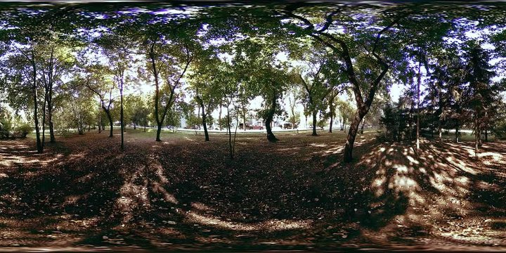 UHD 4K 360 VR Virtual Reality of a city park recreation area. Trees and green grass at autumn or summer day. Path and sun rays.