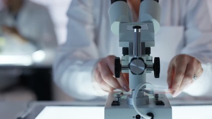 Close up medical researcher working in the lab analyzing samples - Powered by Adobe