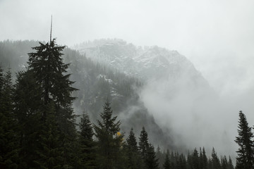 Foggy Mountain with Snow