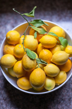 Bowl full of organic meyer lemons on the counter