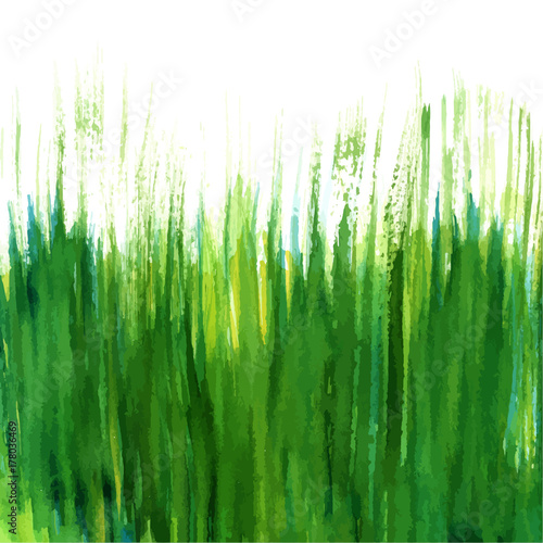 "Vector and watercolor green grass texture on white background" Stock