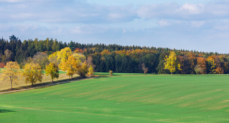 Fototapeta na wymiar Autumn landscape with fall colored trees