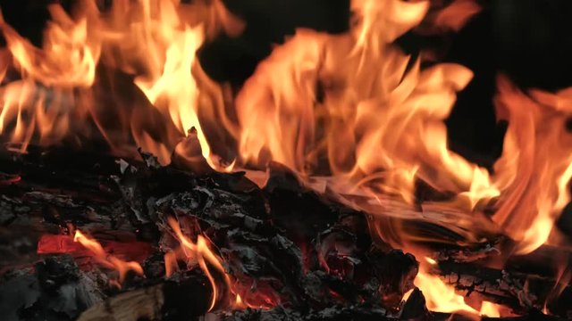 Close up - In the forest a fire burns, old photos are burned in it. Fire flames on a black background. 4k uhd