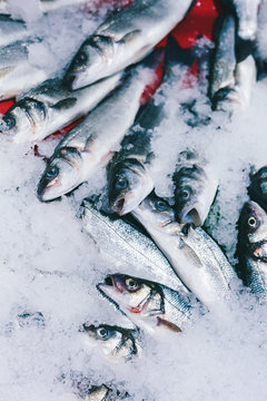 Fish on market stall