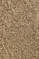 is Sand texture