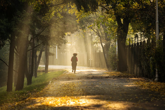 Woman running in a park with beautiful rays of light in autumn morning