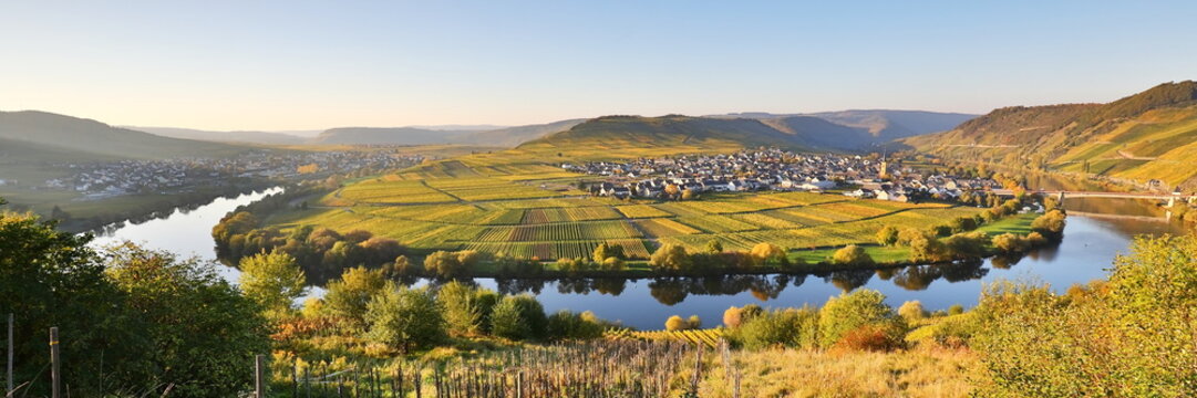 Moselschleife bei Trittenheim