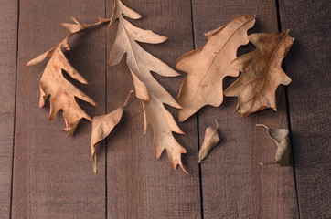 Obraz premium Frame of autumn leaves with copy space