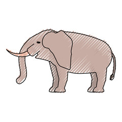 colored  elephant doodle over white background  vector illustration