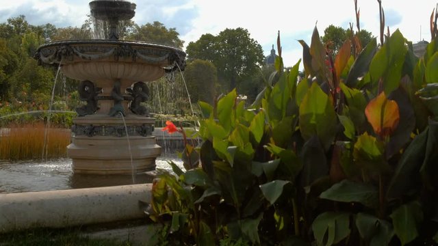 Camera descends past plants from a beautiful fountain in Volksgarten Vienna. Taken on a sunny September morning