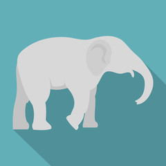 Elephant icon, flat style