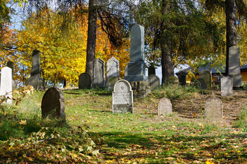forgotten and unkempt Jewish cemetery