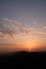 Morgendämmerung in Brandenburg