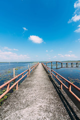 Fototapeta premium Decision path