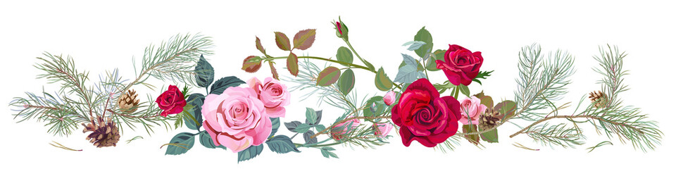 Panoramic view with red, pink roses, pine branches and cones, needles. Horizontal border for Christmas: flowers, buds, leaves on white background, digital draw illustration, watercolor style, vector