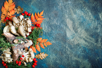 Autumn leaves, mushrooms and berries on a dark background. Autumn background with copy space.