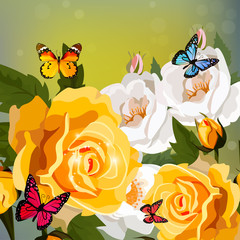Fototapeta premium roses and butterflies