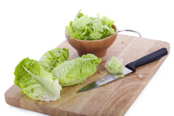 Baby Cos lettuce isolated on white background
