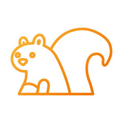 autumn season squirrel animal forest