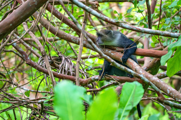Scenic landscape of autumn forest