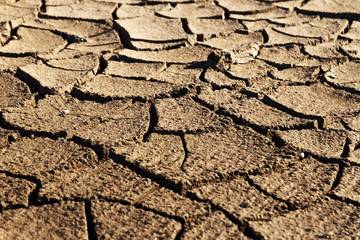 Cracks in drought affected earth