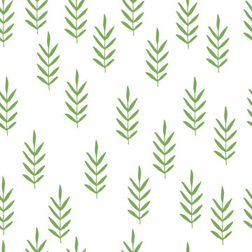 Herbs seamless pattern